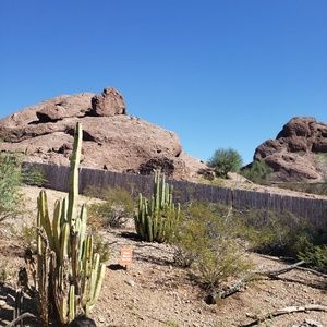 Meet your Posher, Marimar